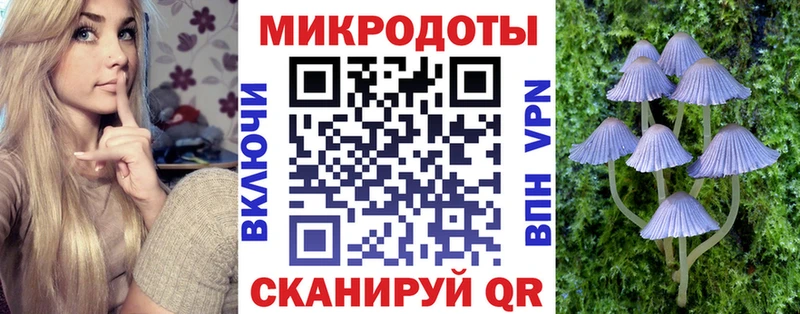 Псилоцибиновые грибы мицелий  где продают наркотики  Знаменск 