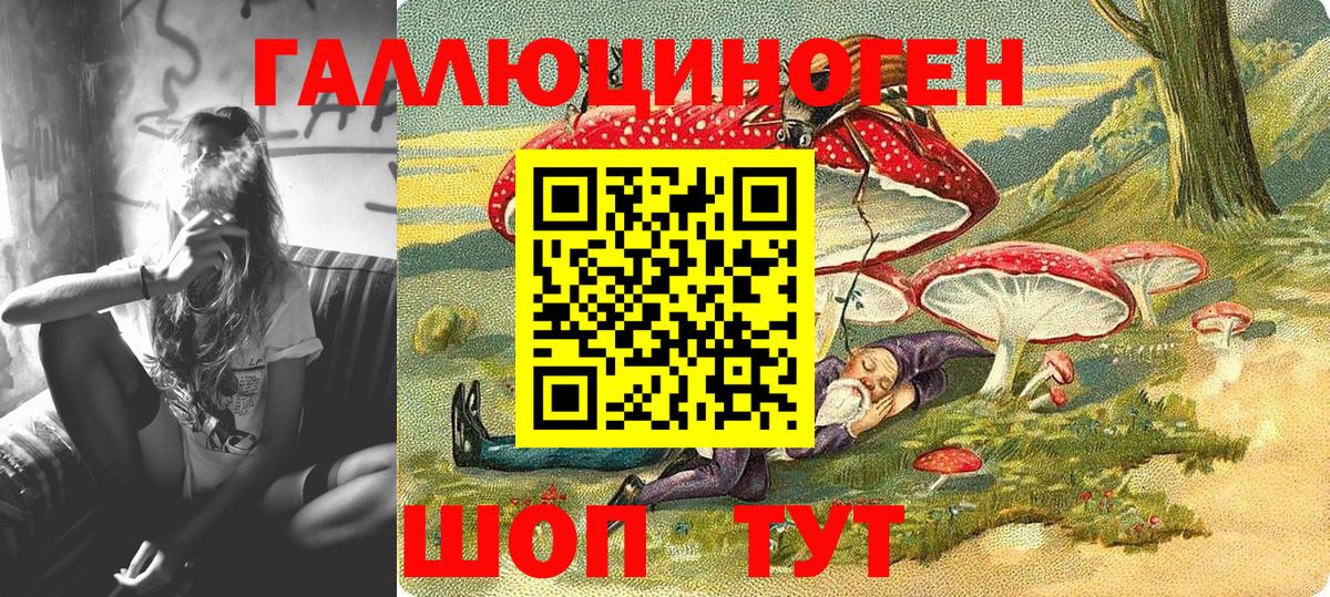 Знаменск  Галлюциногенные грибы GOLDEN TEACHER  Вход с VPN  Псилоцибиновые грибы мицелий 