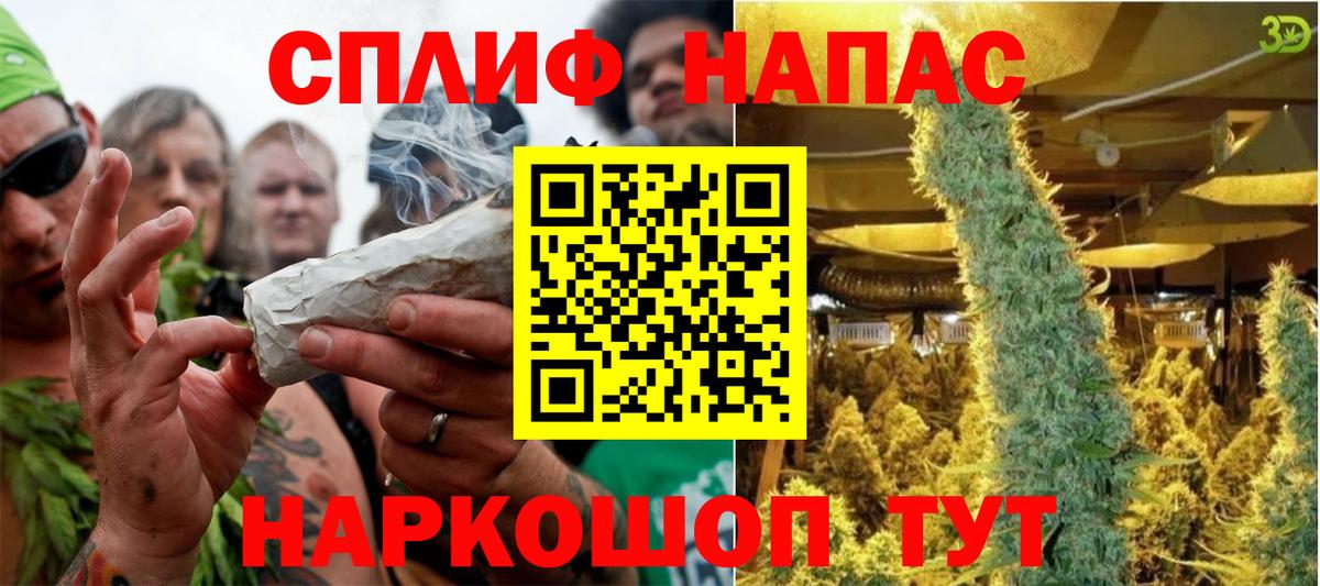 Конопля марихуана  Марихуана White Widow  Знаменск  Вход с VPN  Каннабис индика 